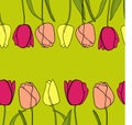 Tulip flower border background vector Royalty Free Stock Photo