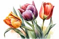 Tulip flower bouquet, colorful tulips in bloom, watercolor illustration. Generative A.i Royalty Free Stock Photo