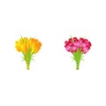 Tulip Flower Colors Bouquet Vector