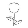 Tulip flower decoration easter thin line