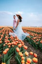 Tulip flower field during sunset dusk in the Netherlands Noordoostpolder Europe, happy young couple men and woman with Royalty Free Stock Photo