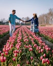 Tulip flower field during sunset dusk in the Netherlands Noordoostpolder Europe, happy young couple men and woman with Royalty Free Stock Photo