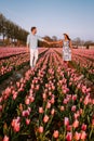 Tulip flower field during sunset dusk in the Netherlands Noordoostpolder Europe, happy young couple men and woman with Royalty Free Stock Photo