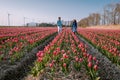 Tulip flower field during sunset dusk in the Netherlands Noordoostpolder Europe, happy young couple men and woman with Royalty Free Stock Photo