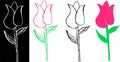 Tulip flower hand drawn in four iterations Royalty Free Stock Photo