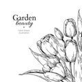 Tulip flower and leaves drawing border. Vector hand drawn engraved floral frame.