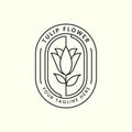 tulip flower line art with emblem style logo vector template illustration design Royalty Free Stock Photo