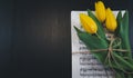 Tulip flower on a sheet of old musical notes on the dlack background