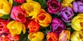 Tulip flowers background Royalty Free Stock Photo