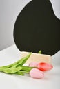 Tulip flowers bouquet for celebration with mirror. Artificial tulips on white table, Gift for special day
