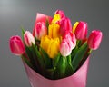 Tulip flowers bouquet, close-up view, gray background