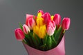 Tulip flowers bouquet, close-up view, gray background