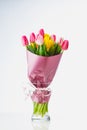 Tulip flowers bouquet in a glass vase, isolated on white Royalty Free Stock Photo