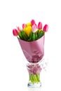 Tulip flowers bouquet in a glass vase, isolated on white Royalty Free Stock Photo