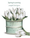 Tulip flowers bouquet in a vintage vase Vector realistic Royalty Free Stock Photo