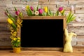 Tulip Flowers, Bunny, Brick Wall, Blackboard, Copy Space
