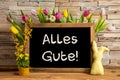 Tulip Flowers, Bunny, Brick Wall, Blackboard, Text Alles Gute Means Best Wishes