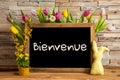 Tulip Flowers, Bunny, Brick Wall, Blackboard, Text Bienvenue Means Welcome