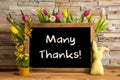 Tulip Flowers, Bunny, Brick Wall, Blackboard, Text Many Thanks
