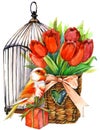 Tulip Flowers, canary bird and decorative birdcage. watercolor