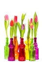 Tulip flowers in colorful glass vases over white background Royalty Free Stock Photo