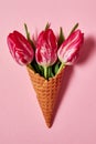 Tulip flowers in ice cream cone on pink pastel  background, copy space. Spring minimal concept. Womens Day, Mothers Day, Valentine Royalty Free Stock Photo