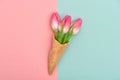 Tulip flowers ice cream waffle cone flat lay Minimal concept Royalty Free Stock Photo