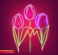 Tulip flowers neon light Vector. Vintage board. Glowing bouquet. Shiny Neon Light Poster, Flyer, Banner, Postcard, Invitation. Royalty Free Stock Photo