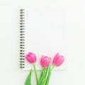 Tulip flowers and notebook isolated on white background. Flat lay. Top view