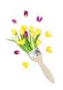 Tulip flowers paint brush Creative floral flat lay