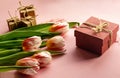 Tulip flowers on a pink background along with gift boxes as a symbol of the upcoming spring and spring holidays. The concept of