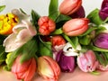 Tulip flowers on pink background Happy wishes greetings text tulip colorful festive bouquet floral women day Happy Valentine