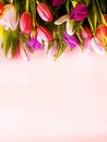 Tulip flowers on pink background Happy wishes greetings text tulip colorful festive bouquet floral women day Happy Valentine