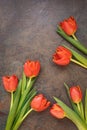 Tulip flowers scattered over rustic background