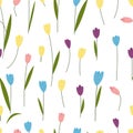 Tulip flowers seamless pattern. Wild garden flowers, tulips with leaves print. Spring summer romantic design, cute