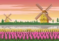 Tulip garden,famous symbol of Holland and wind mill around with beautiful nature,vintage color