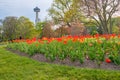 Tulip garden in front of Skylon tower