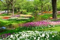 Tulip garden at Showa Kinen Park in Tachikawa City