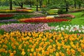 Tulip garden at Showa Kinen Park