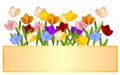 Tulip Garden Tulips Logo Label