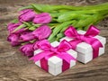 Tulip, gift boxes with violet bow on wood board