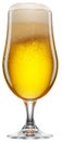 Tulip glass of cold beer with white foam and gas bubbles inside. File contains clipping path