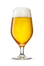 Tulip glass of fresh golden-colored beer with cap of foam isolated on white background