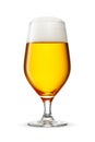 Tulip glass of fresh yellow beer with cap of foam isolated on white background