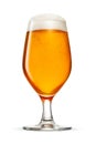 Tulip glass of fresh yellow beer with cap of foam isolated on white background