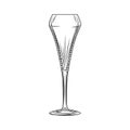 Tulip glass. Sparkling wine glass. Hand drawn empty champagne glass sketch