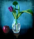 Tulip in a glass vase and apple