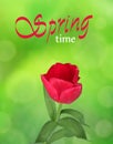 Tulip on Green nature background blurred and bokeh effect. Beautiful spring flower with water drops. Spring time. Vertical vector Royalty Free Stock Photo