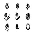 Tulip Icon, Flower Symbol, Daisy Sign, Floral Silhouette, Blossom Graphic Element, Tulip Outline Vector Illustration