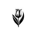 Tulip Icon, Flower Symbol, Daisy Sign, Floral Silhouette, Blossom Graphic Element, Tulip Outline Vector Illustration